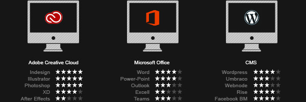 Programmer