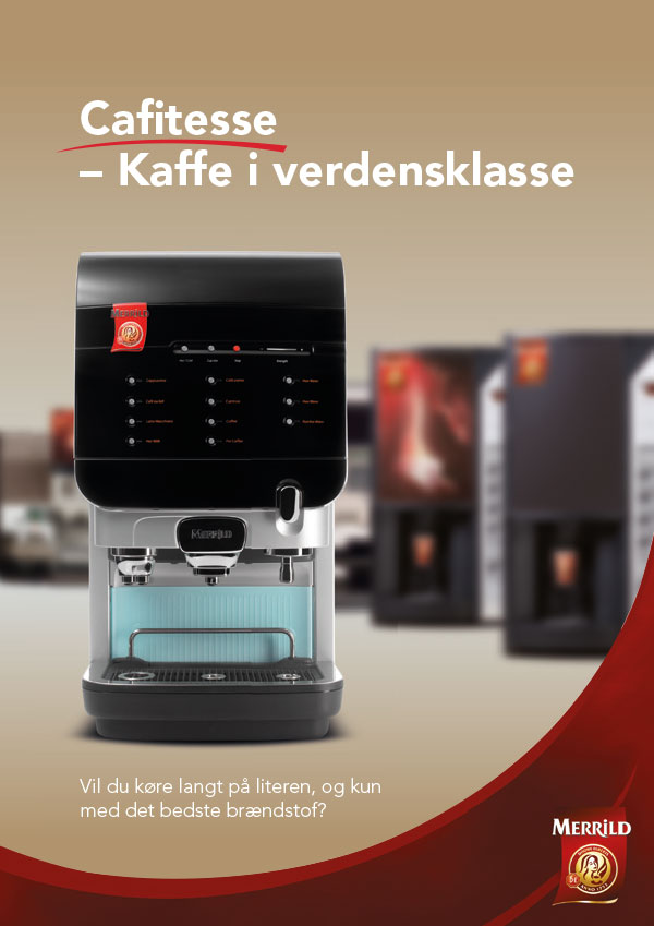 Merrild brochure