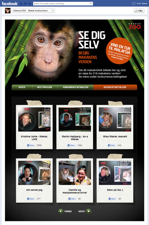 Odense ZOO Makak-konkurrence app