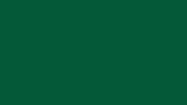 Styrket kvalitet i pædagogisk praksis logo animation